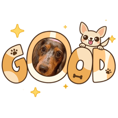 wanwan_20260326013702