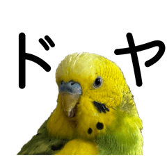 Kogitaro_20260326021227