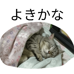 yukiko_20260325230358