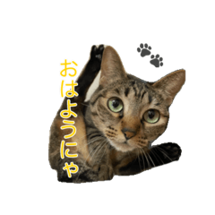 Kaguya_20260326092305