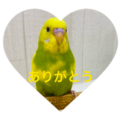 rima1011_20260326093105