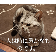 kuroi,ribon._20260326091235