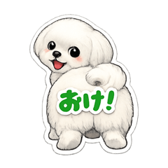 yururin_20260326091119