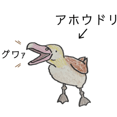 marumaru_20260326000551