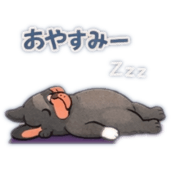 yogazy_20260326095359