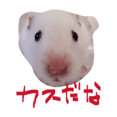 komedau_20260323020453