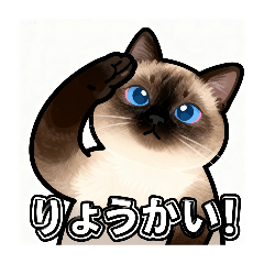 monchi_20260326104901