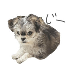 Aaaaaa_20260326105630