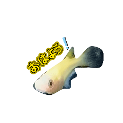 osusi_20260326105529