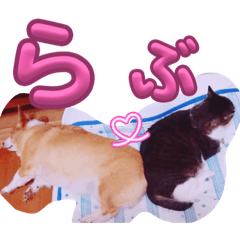 keitaman_20260326110835