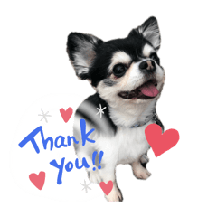 Bobfiba_20260325201550