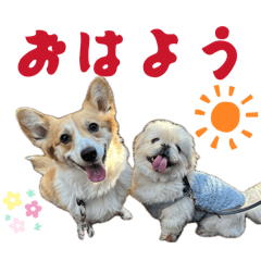 ichihota_20260325200839