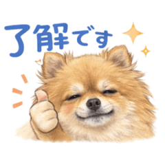 Moko PomeranianStickers