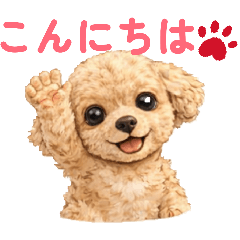 wagamamapoo_20260325202221