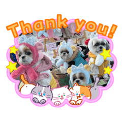 miyu0214_20260326120115