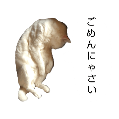 akepyon_20260326121003