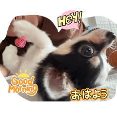 Yoshiki_20260326073213