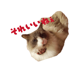 shuta_20260325222916