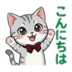 popola_20260326134327