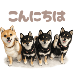 DOG STAMP ORDER_20260326102045