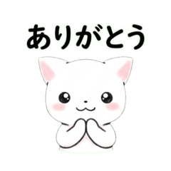 White bear_20260326102750