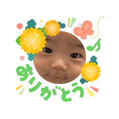 Namiki_20260326103143