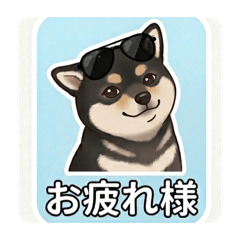 Yanagi_20260326103750