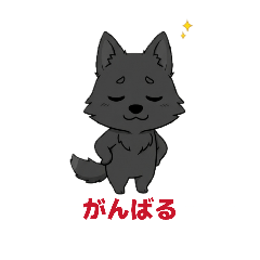 nowakairu_20260326103803