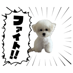 matsululu_20260326104716