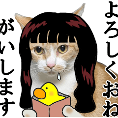 Long-haired cat Hana sticker