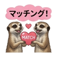 Miyaji_20260323044229