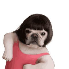 Boo-chan the Frenchie (Dancing Leotard)