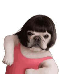 Boo-chan the Frenchie (Dancing Leotard)