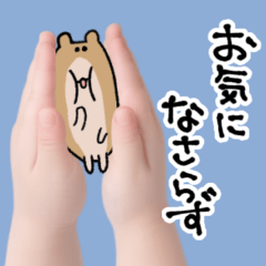 Mocchu the Handheld Hamster Stickers