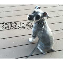 tohma_20260325201557