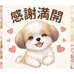 櫻花と犬