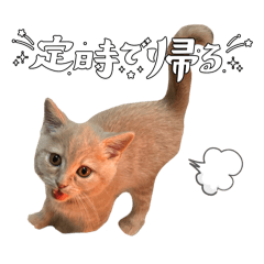 Mihana_20260325222628