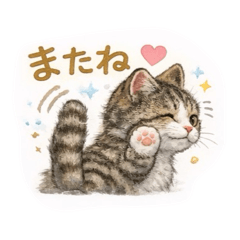 meowl_20260325223427