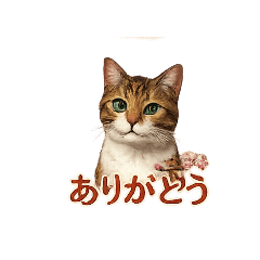 akiko_20260326095901