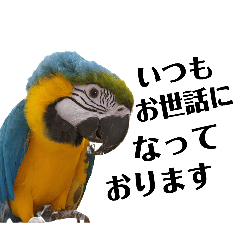 pomeraichel_20260326092351