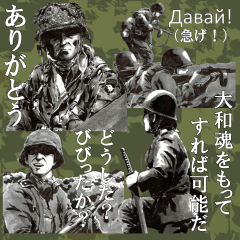 military sticker army12