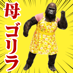move!!! mother gorilla