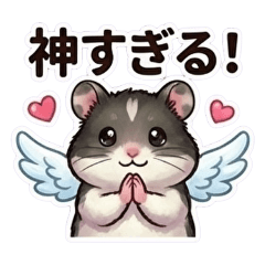 The Daily Life of Hamster "Jill" 6