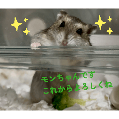 nezutyu_20260325234959