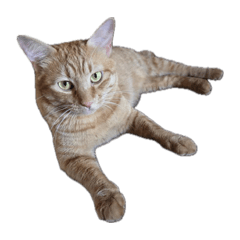 DaiChaaaN_20260325234706