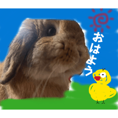 MANJU_20260326115202