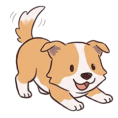 Daily Life of a Tiny Border Collie