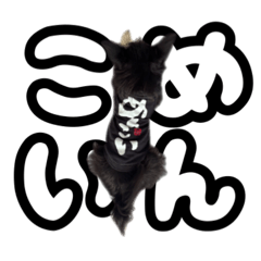 Little-J_20260326000105