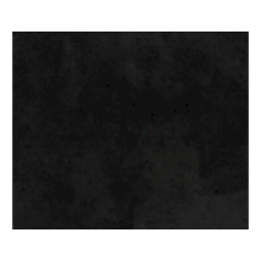 LEMON_20260326120804