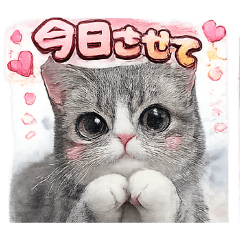 yutaro_20260326121912